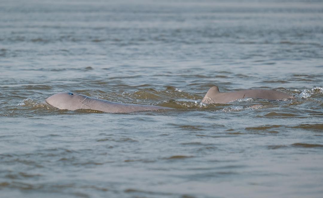 Explore Laos’ hidden freshwater wonders